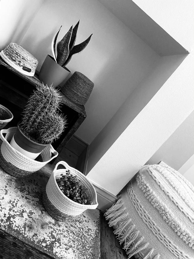 Hypolite Bed & Breakfast Avesnes-sur-Helpe Dış mekan fotoğraf