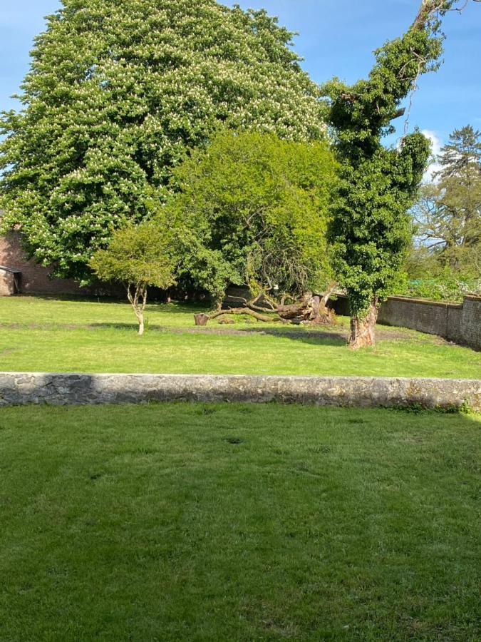 Hypolite Bed & Breakfast Avesnes-sur-Helpe Dış mekan fotoğraf